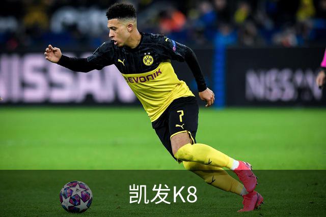 凯发K8公司介绍图